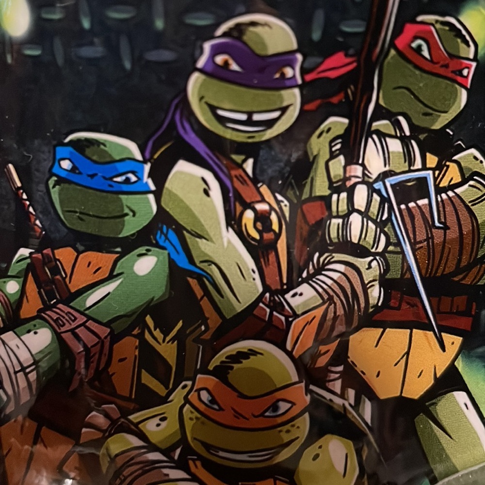 TMNT clog style shoe